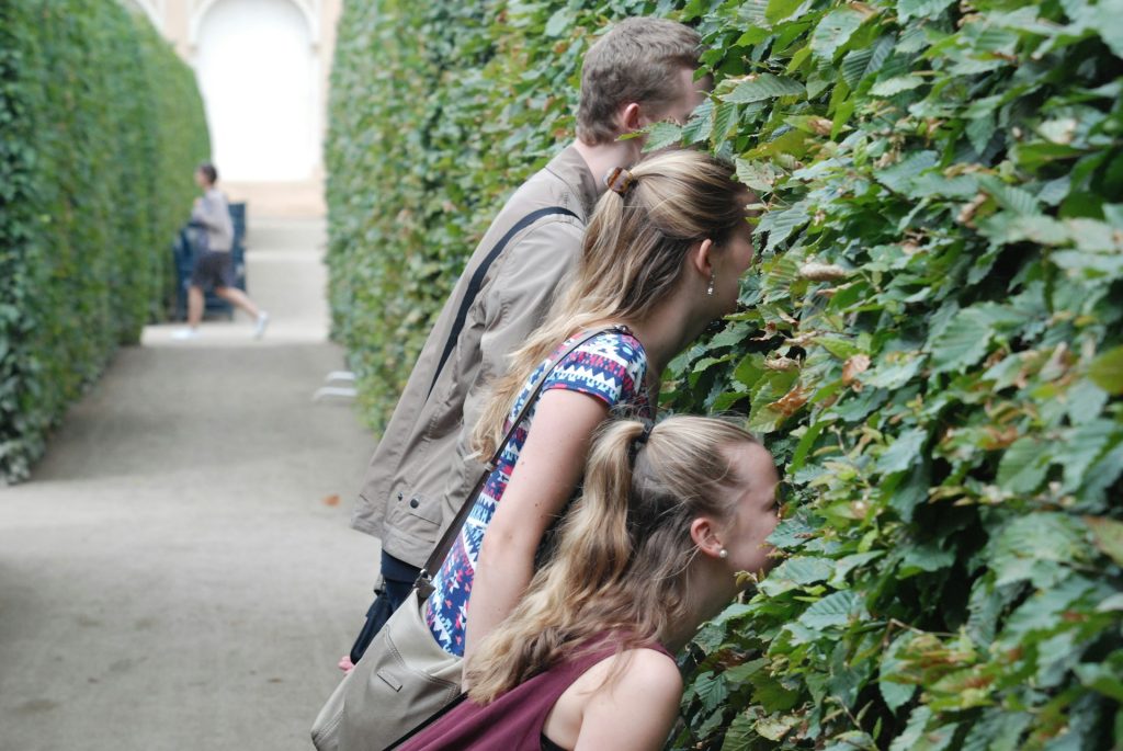 Privatsphäre im Garten