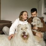 Haustierfreundliche Einrichtung