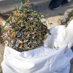 Kreative Verwendung von Recyclingmaterialien im Garten