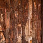 Rustikaler Charme: Einrichtungsideen mit Holz