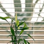 DIY-Projekte für kreativen Sichtschutz im Garten