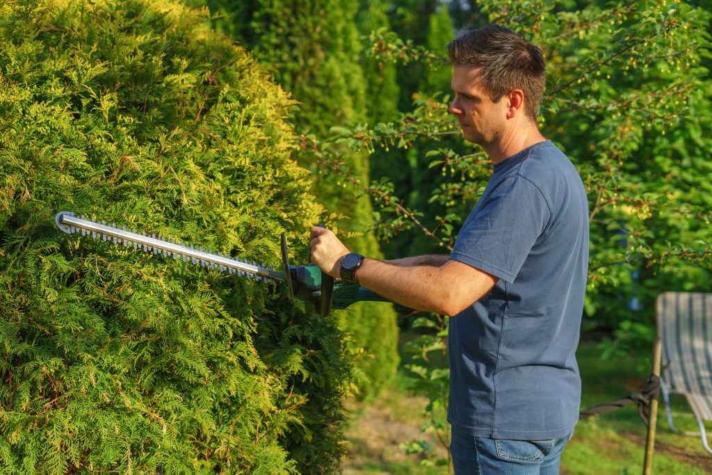 Mann schneidet eine grüne Hecke mit der elektrischen Heckenschere