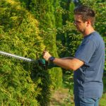 Mann schneidet eine grüne Hecke mit der elektrischen Heckenschere