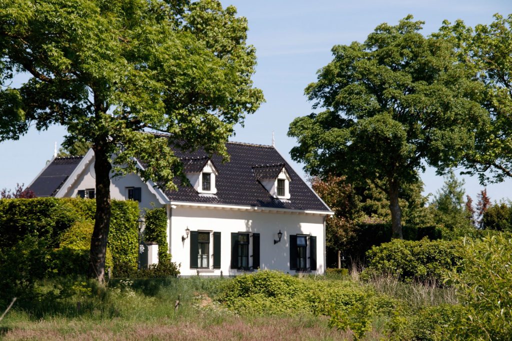 Zuhause schädlingsfrei