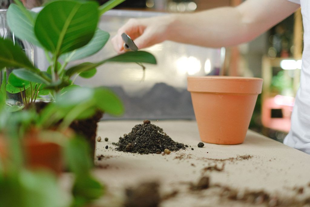 Blumenerde und Pflanzen neben einem Tontopf