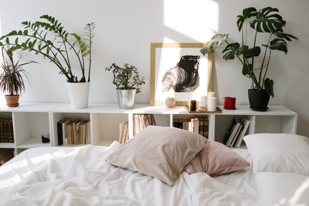 Sonniges Schlafzimmer mit weißer Bettwäsche und Zimmerpflanzen